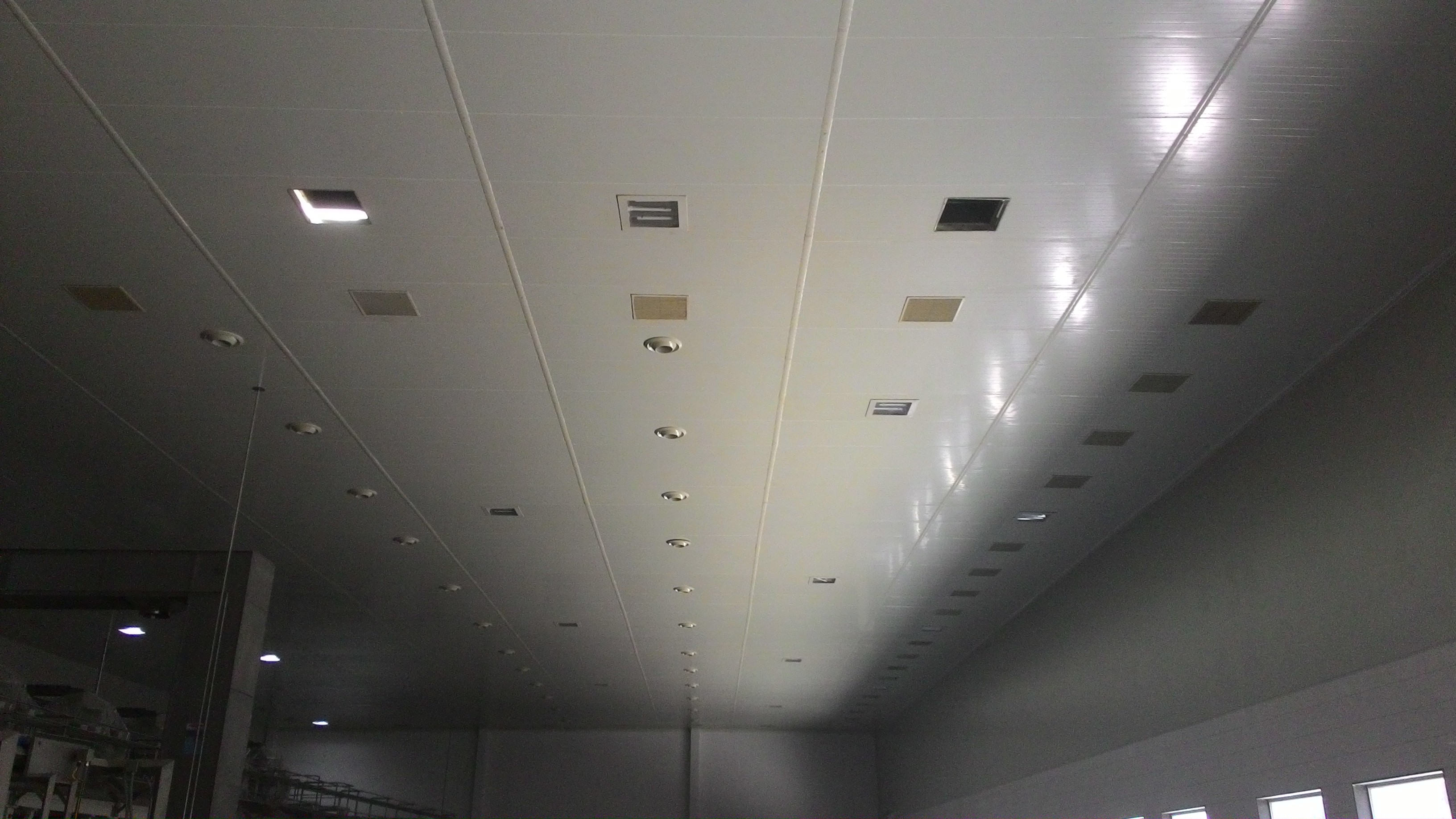 Fuji Silvertech Concrete Private Limited - Insulated Roofing